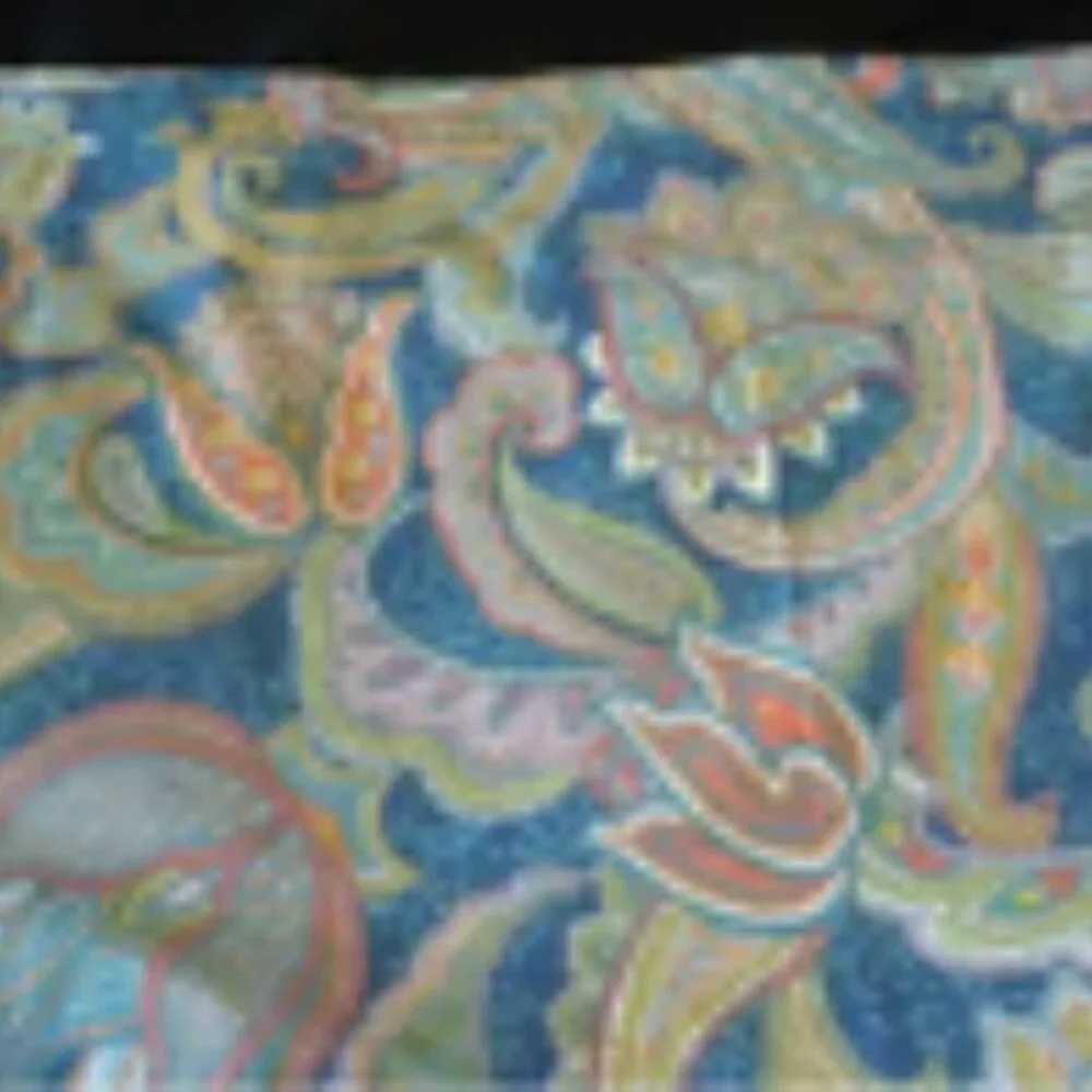 Pottery Barn Pillow Sham in Ana Paisley